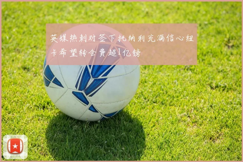 英媒热刺对签下托纳利充满信心纽卡希望转会费超1亿镑