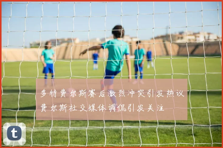 多特费尔斯赛后激烈冲突引发热议费尔斯社交媒体调侃引发关注